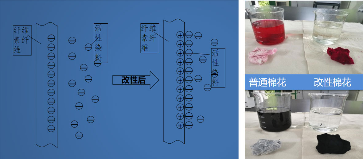 陽(yáng)離子改性纖維